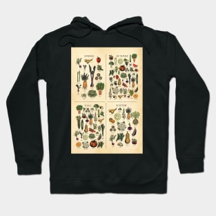 American Midwest Seasonal Fruit and Vegetable chart Hoodie